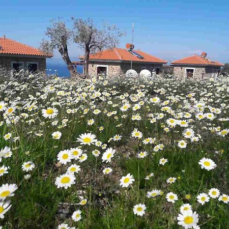 Ktima Kiourelioti Βίλα Σκάλα Συκαμιάς Εξωτερικό φωτογραφία