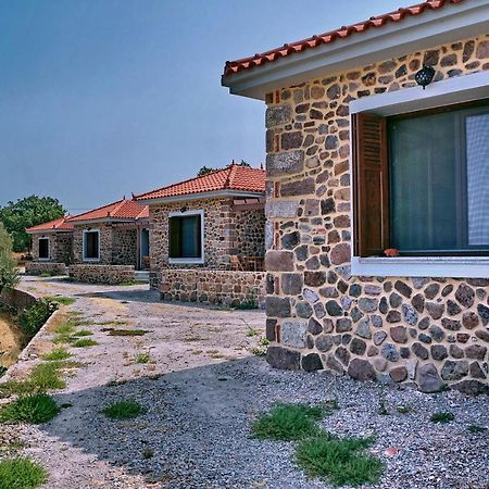 Ktima Kiourelioti Βίλα Σκάλα Συκαμιάς Εξωτερικό φωτογραφία