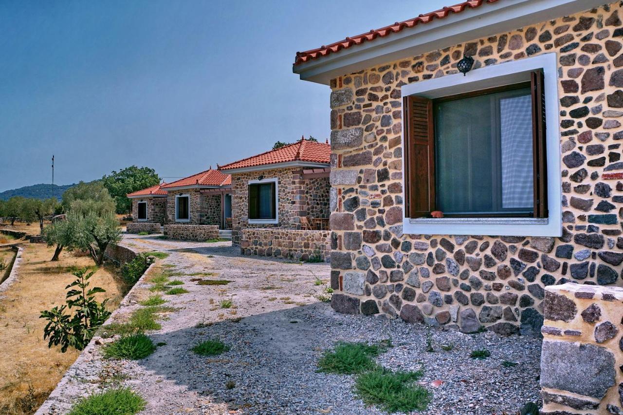 Ktima Kiourelioti Βίλα Σκάλα Συκαμιάς Εξωτερικό φωτογραφία