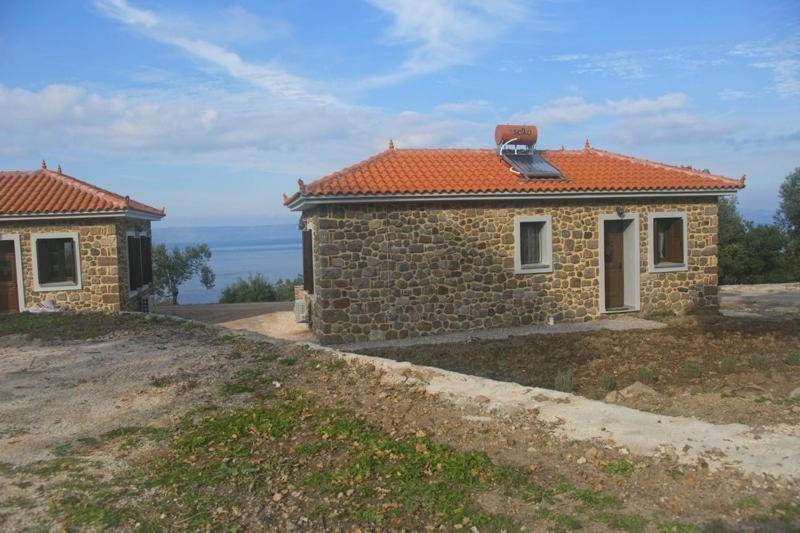 Ktima Kiourelioti Βίλα Σκάλα Συκαμιάς Εξωτερικό φωτογραφία