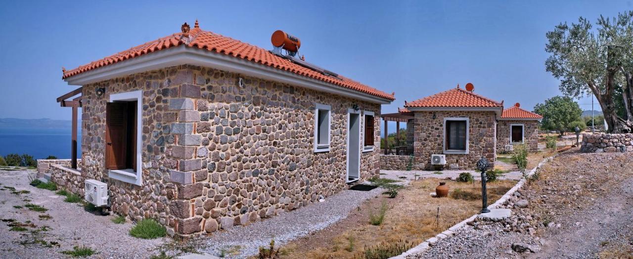 Ktima Kiourelioti Βίλα Σκάλα Συκαμιάς Εξωτερικό φωτογραφία