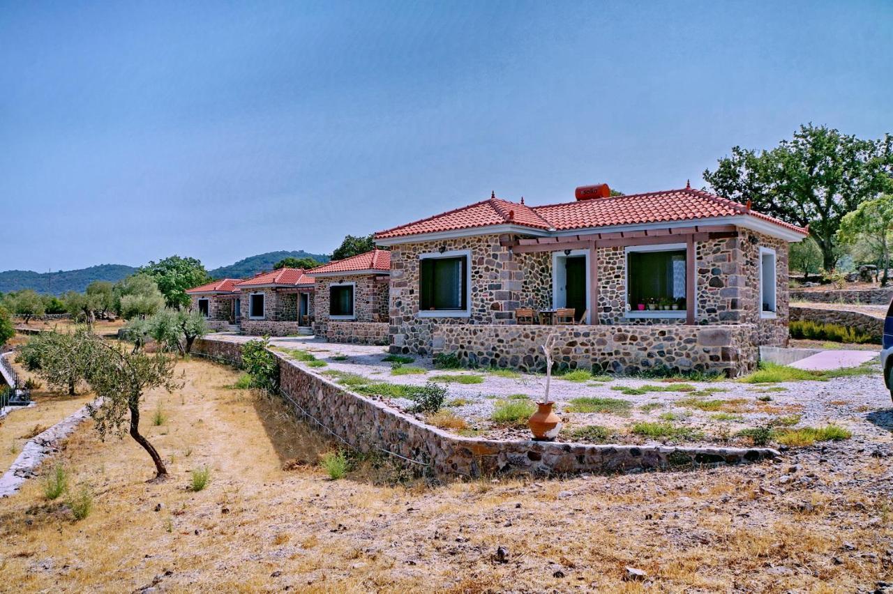 Ktima Kiourelioti Βίλα Σκάλα Συκαμιάς Εξωτερικό φωτογραφία